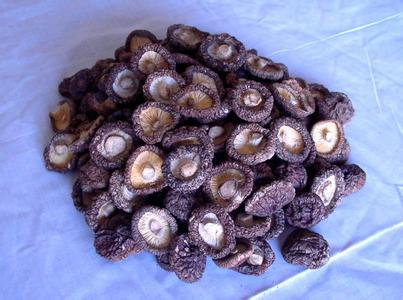 黎川原木香菇
