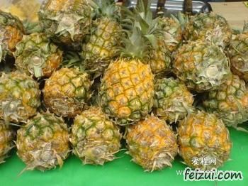 神湾菠萝