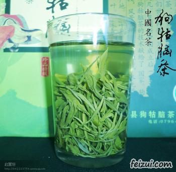 遂川狗牯脑茶