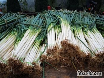 大峪镇寺郎腰大葱