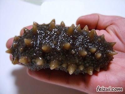 威海海参