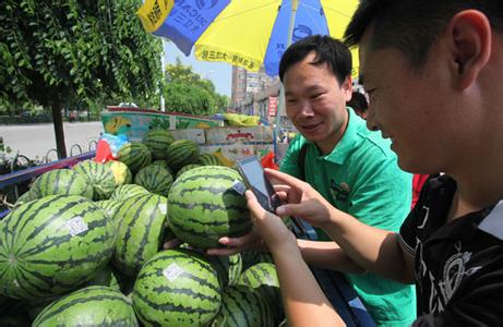 刘家窑西瓜