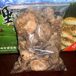 巴里坤野蘑菇