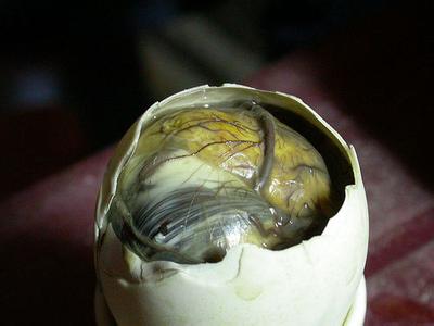 河口鸭仔蛋