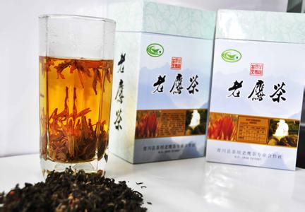 金口河老鹰茶