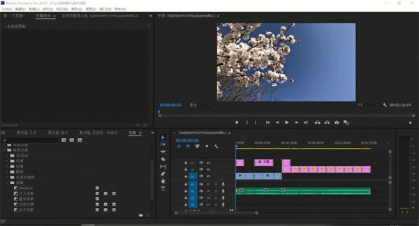 Adobe Premiere Pro中文版